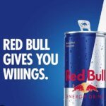 Bull Run Interrupted: Red Bull’s Indian Legal Victory Signals Only a Temporary Ceasefire