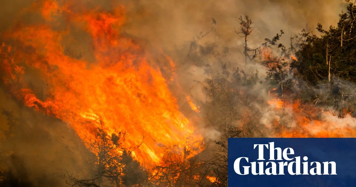 Burned Out and Abandoned: The Crisis Pushing U.S. Firefighters to the Edge