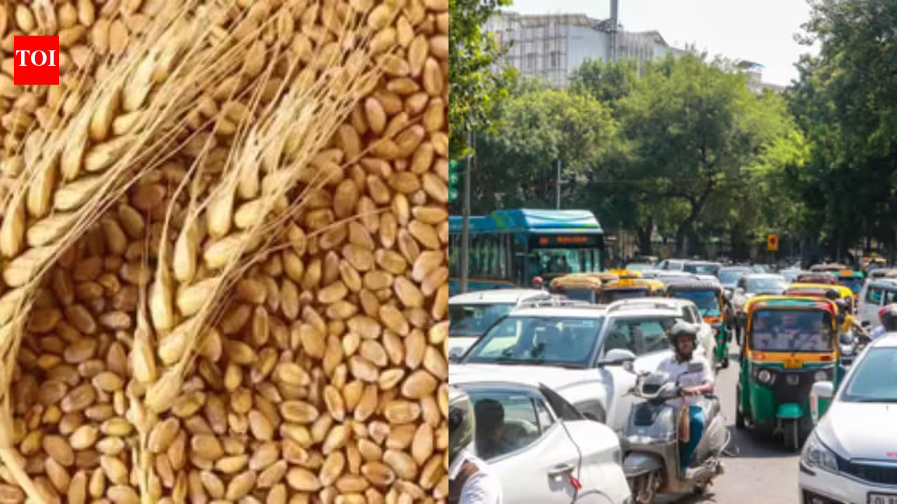 Cabinet Greenlights Growth: Landmark MSP Hike, Massive Green Corridor, and AI-Powered Traffic Grid for Delhi