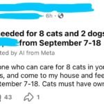 Caught in the Act: 23 Times Entitlement Reached Peak Cringe