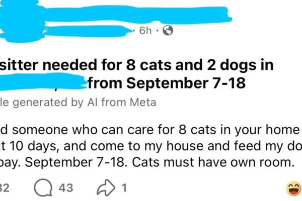 Caught in the Act: 23 Times Entitlement Reached Peak Cringe
