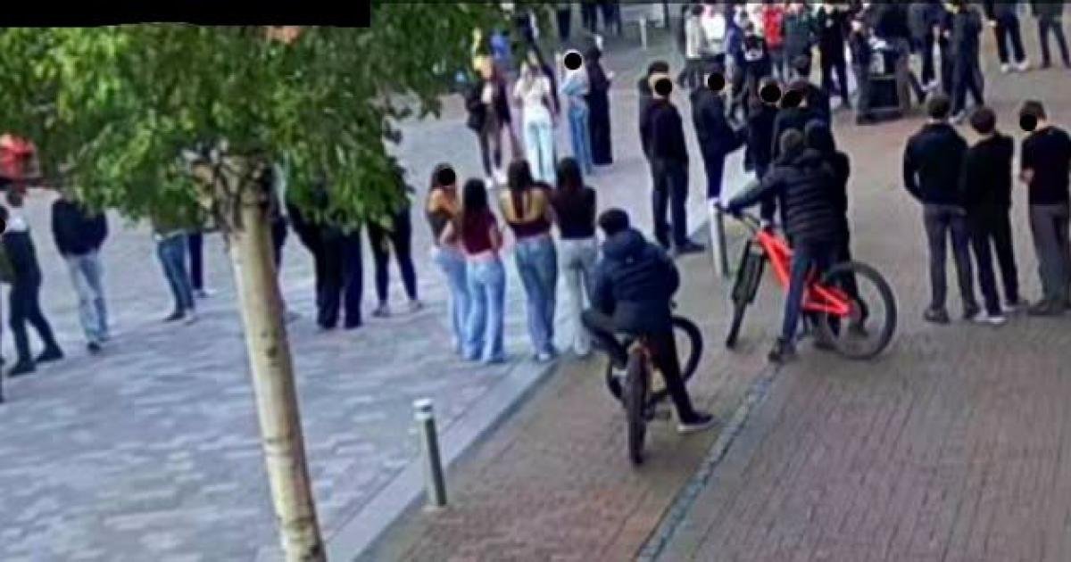Chaos in the Crowd: Teen Apprehended as Flash Mob Spiral Into Disorder