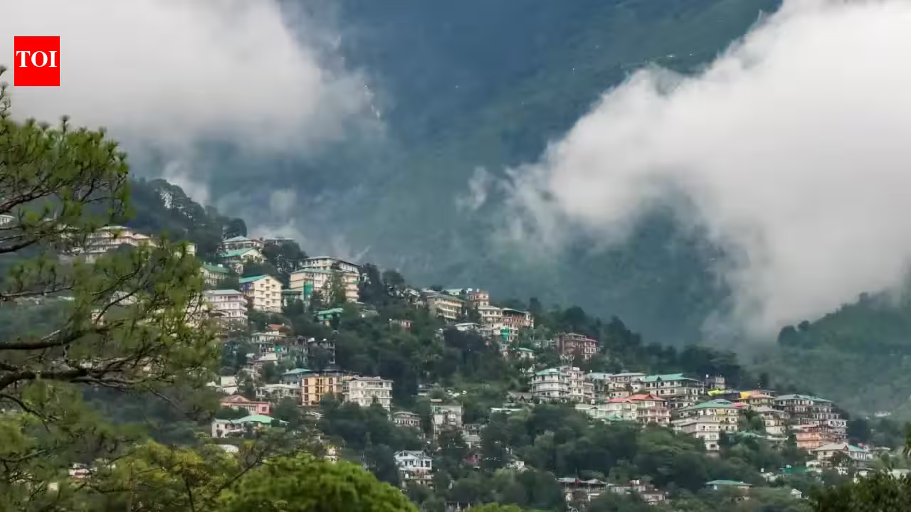 Concrete Comfort vs. Rustic Refuge: The Great Divide in Modern Travel Preferences