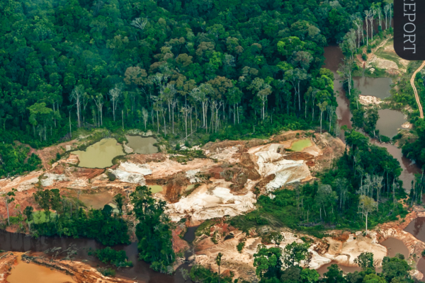 Failure of political will makes crimes affecting the environment a worsening threat