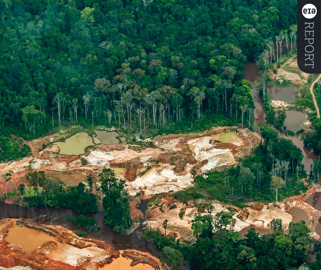 Failure of political will makes crimes affecting the environment a worsening threat