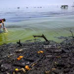 Crude Contradictions: The Hidden Ecological Toll of Venezuela’s High-Stakes Oil Gambit