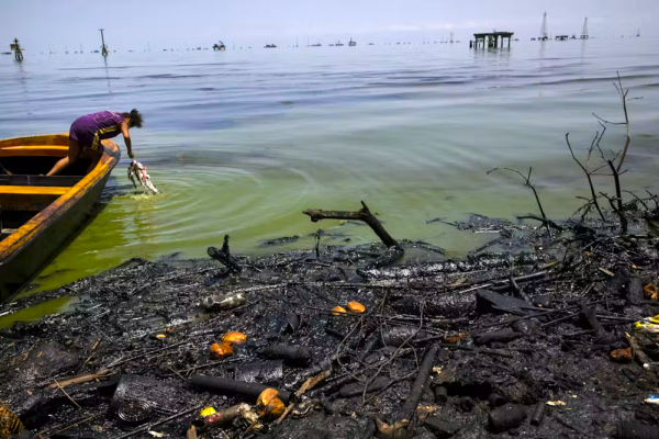 Crude Contradictions: The Hidden Ecological Toll of Venezuela’s High-Stakes Oil Gambit