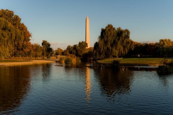 D.C. Decades: The Capital Marks a Monumental Milestone in Golden Autumn Glow