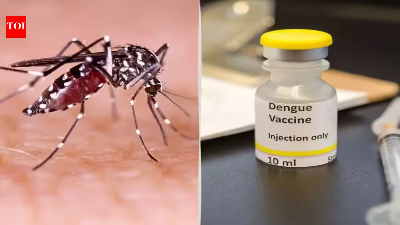 Dengue’s Deadline: Landmark Vaccine Set to Shield India by Mid-2027
