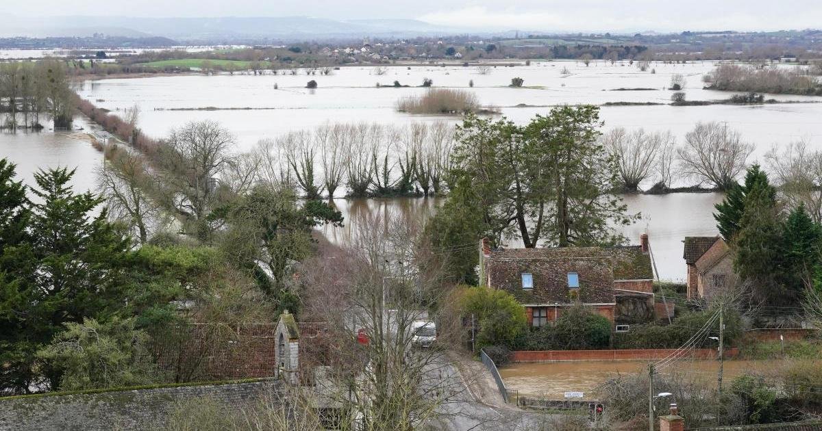 Drowning in Success: How EA’s Flood-Defying Efficiency Created a Somerset Backlog