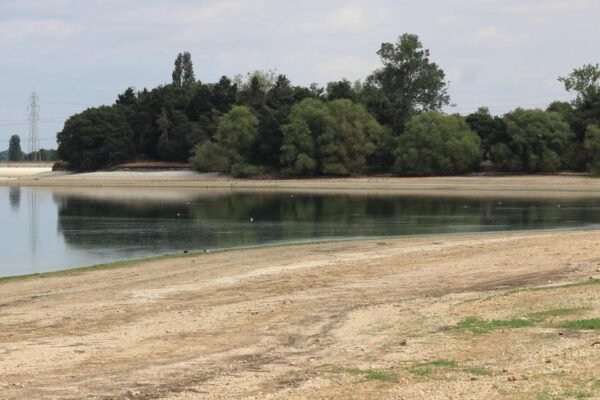 Essex Emerges: Sustained Downpours Finally Break the Drought Stranglehold