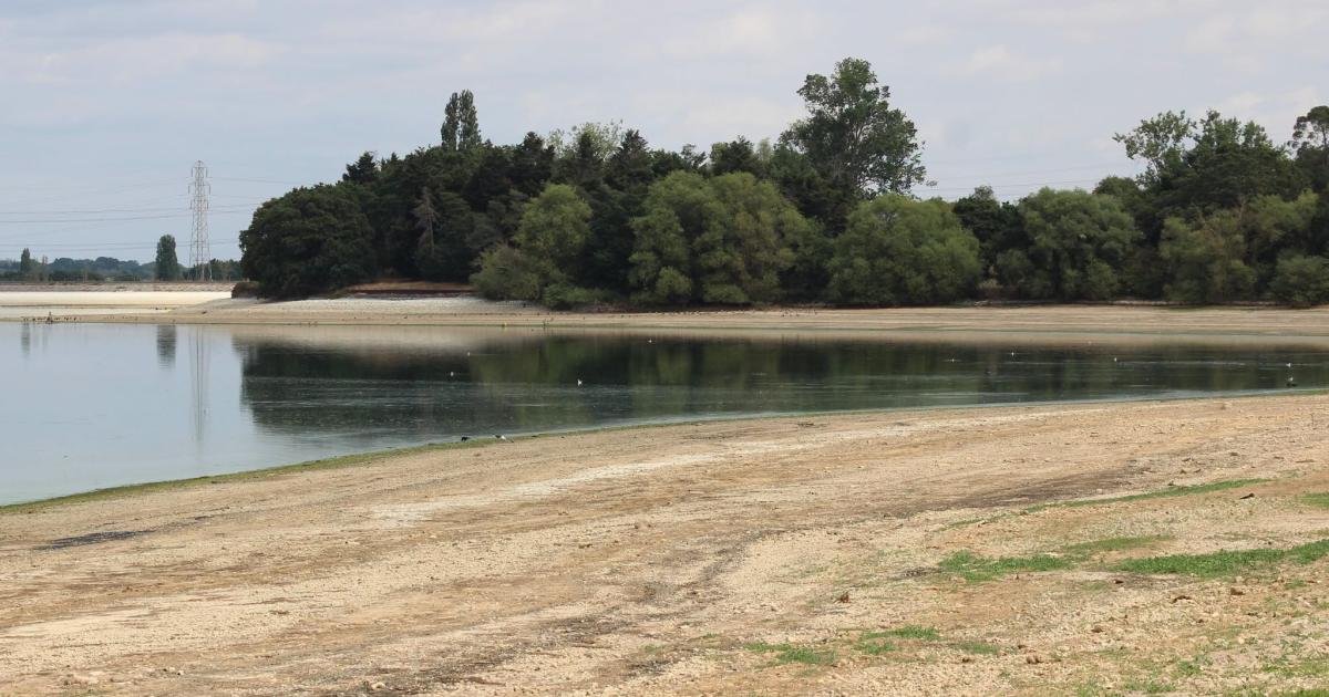 Essex Emerges: Sustained Downpours Finally Break the Drought Stranglehold