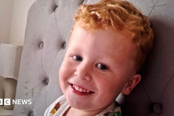 Fatal Gap: Tragedy Strikes After Toddler Slips Through Park Fence
