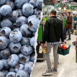 Fatal Harvest: Publix and Distributor Facing Lawsuit Over Tainted Blueberries