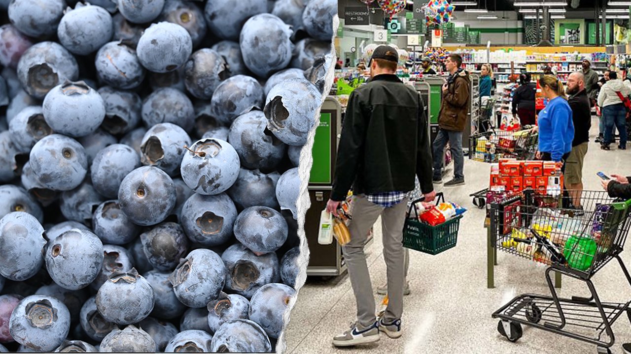 Fatal Harvest: Publix and Distributor Facing Lawsuit Over Tainted Blueberries