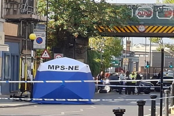 Fatal Hit-and-Run on North Pole Road Leaves Cyclist Dead; Moped Rider Sought