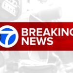 Fatal Snap: Brooklyn Man Crushed by Falling Tree in East New York Parking Lot