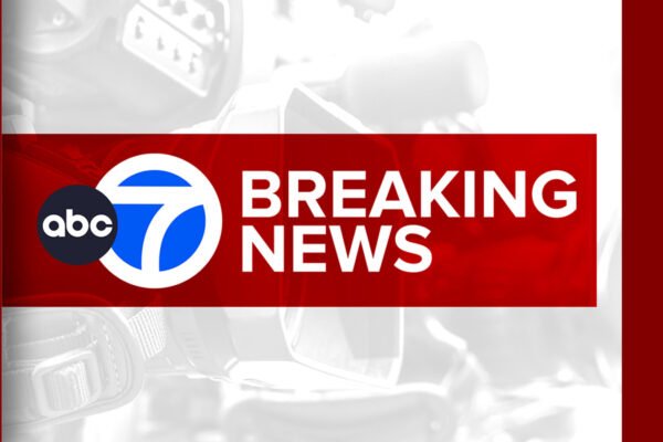 Fatal Snap: Brooklyn Man Crushed by Falling Tree in East New York Parking Lot