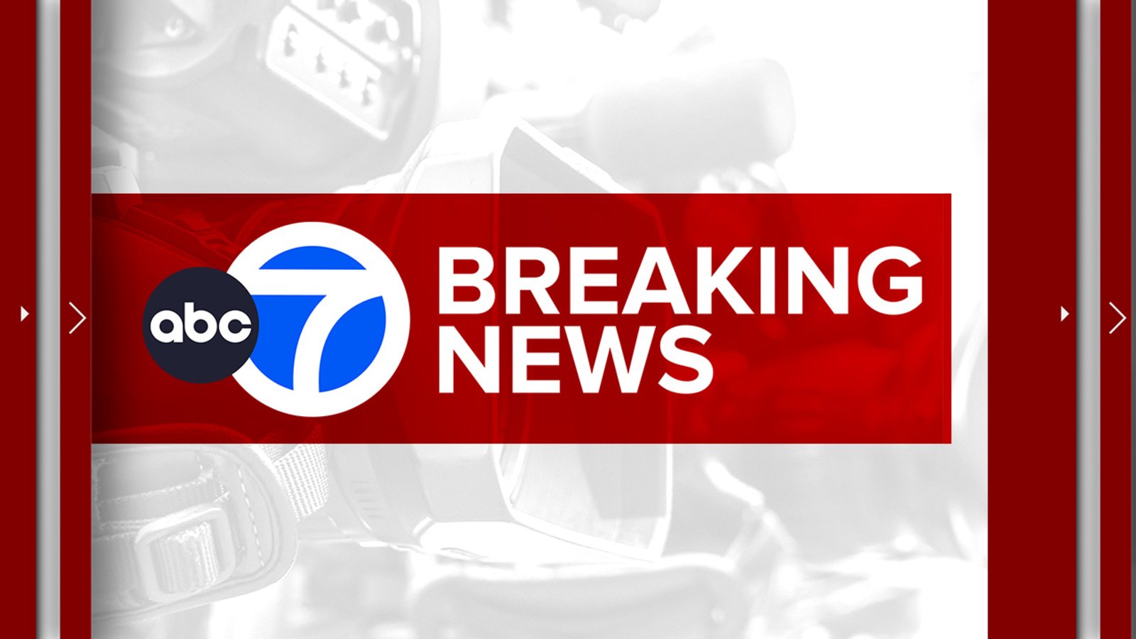 Fatal Snap: Brooklyn Man Crushed by Falling Tree in East New York Parking Lot