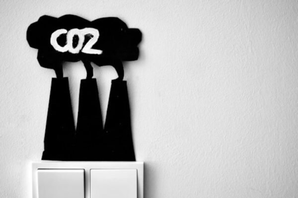 Flight Risk: How Lax Fuel Rules Could Ground Net-Zero Ambitions