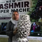 Floating Fortunes: How One Kashmiri Entrepreneur is Redefining Life on the Lake