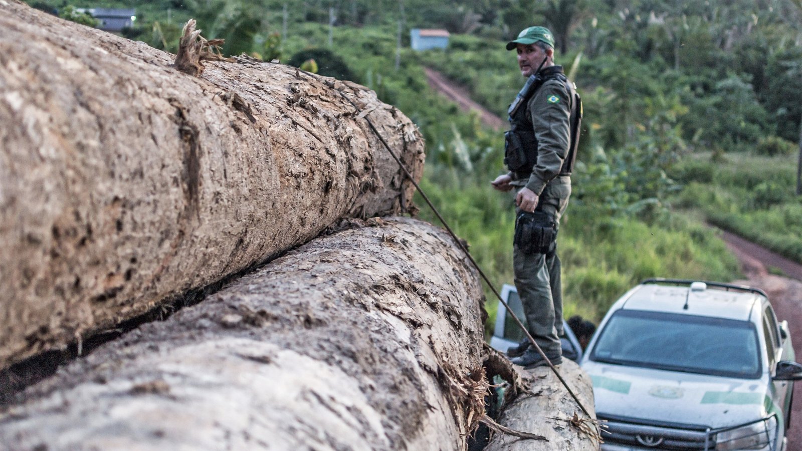 Follow the Money: Why Tracking Supply Chain Profits is the Ultimate Weapon Against Eco-Crime