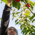 From Branch to Bowl: National Honors for Farm-to-Freeze Innovation
