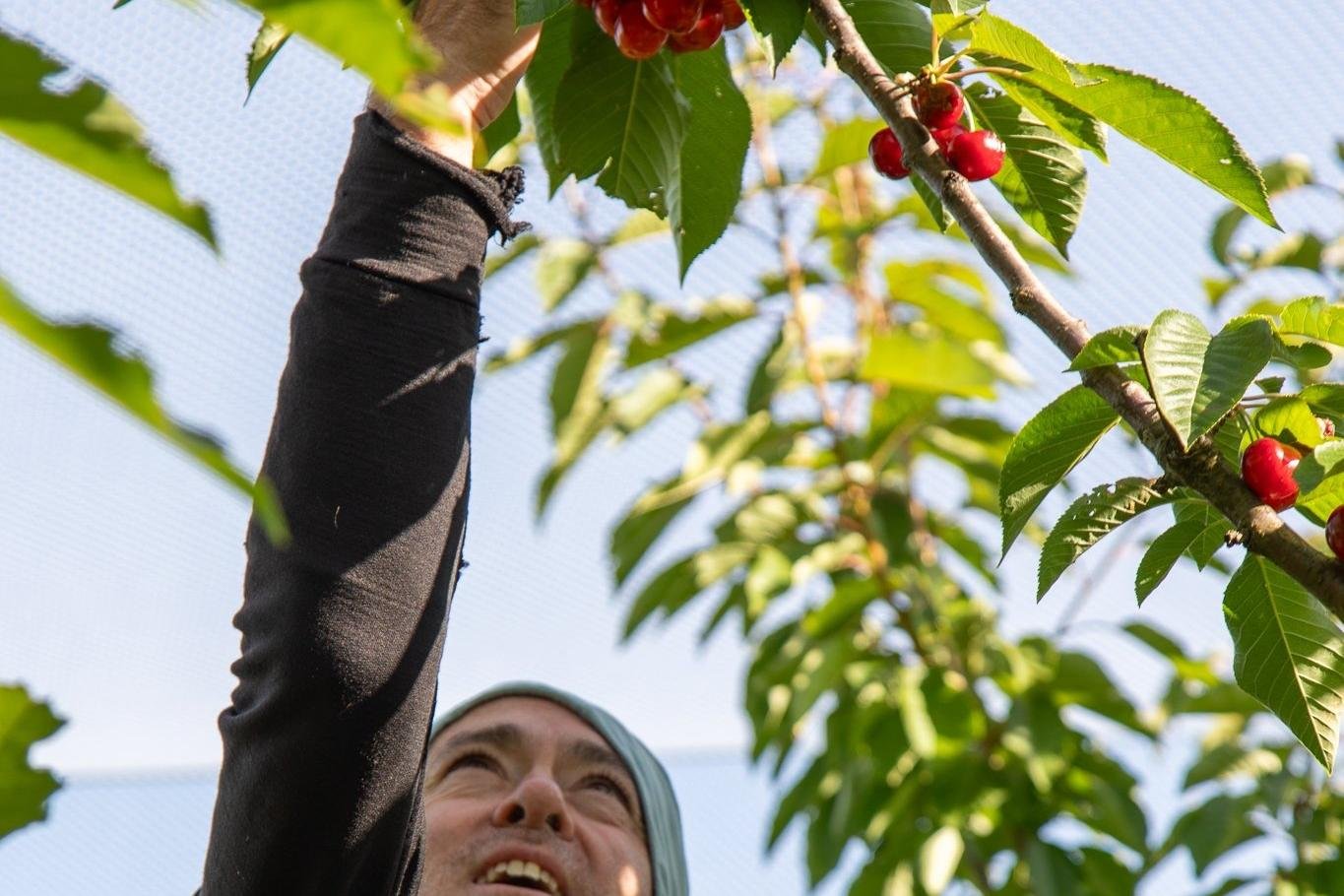 From Branch to Bowl: National Honors for Farm-to-Freeze Innovation