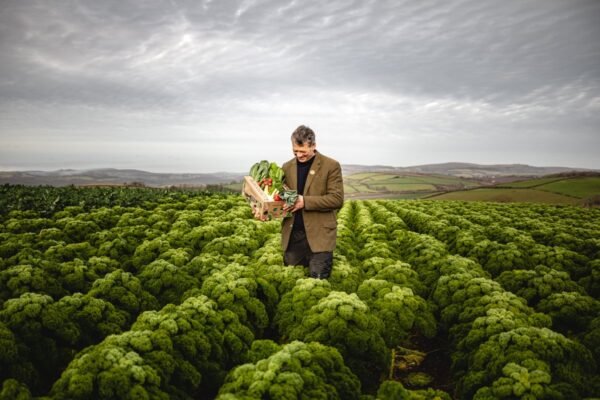 From Soil to Ledger: The Faith-Fueled Revival of the Family Bean Farm