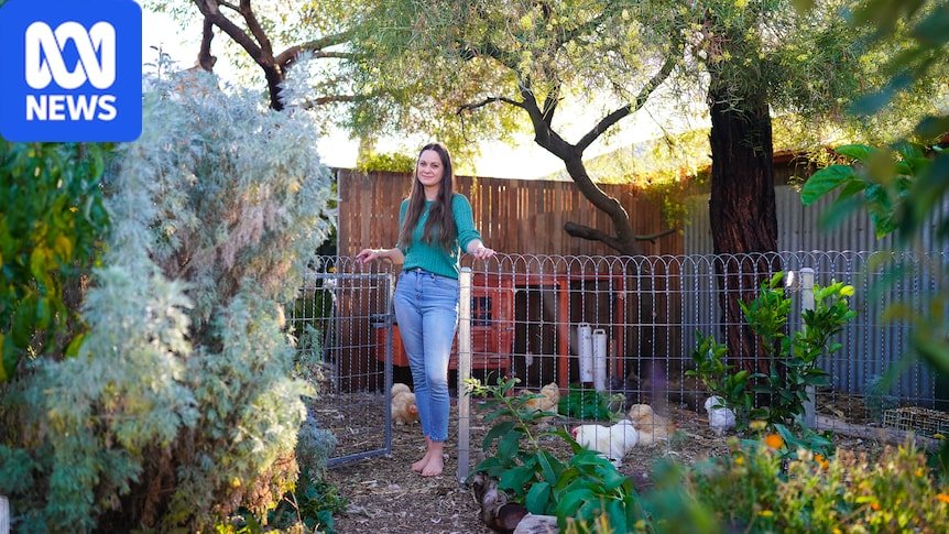 From Soil to Supper: 5 Proven Strategies for Your Most Productive Spring Garden Yet