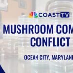 Fungi Fight Fizzles: Ocean City Mushroom Farm Abandons Zoning Appeal