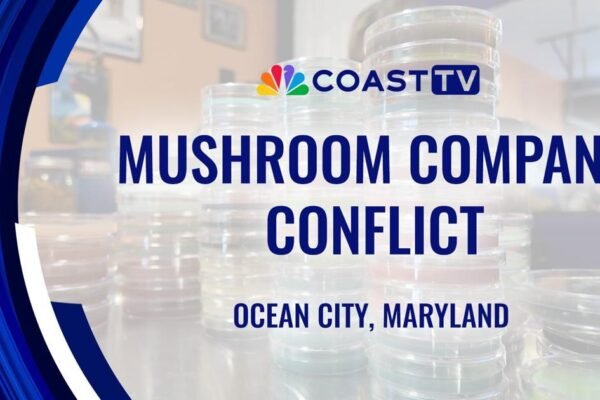 Fungi Fight Fizzles: Ocean City Mushroom Farm Abandons Zoning Appeal