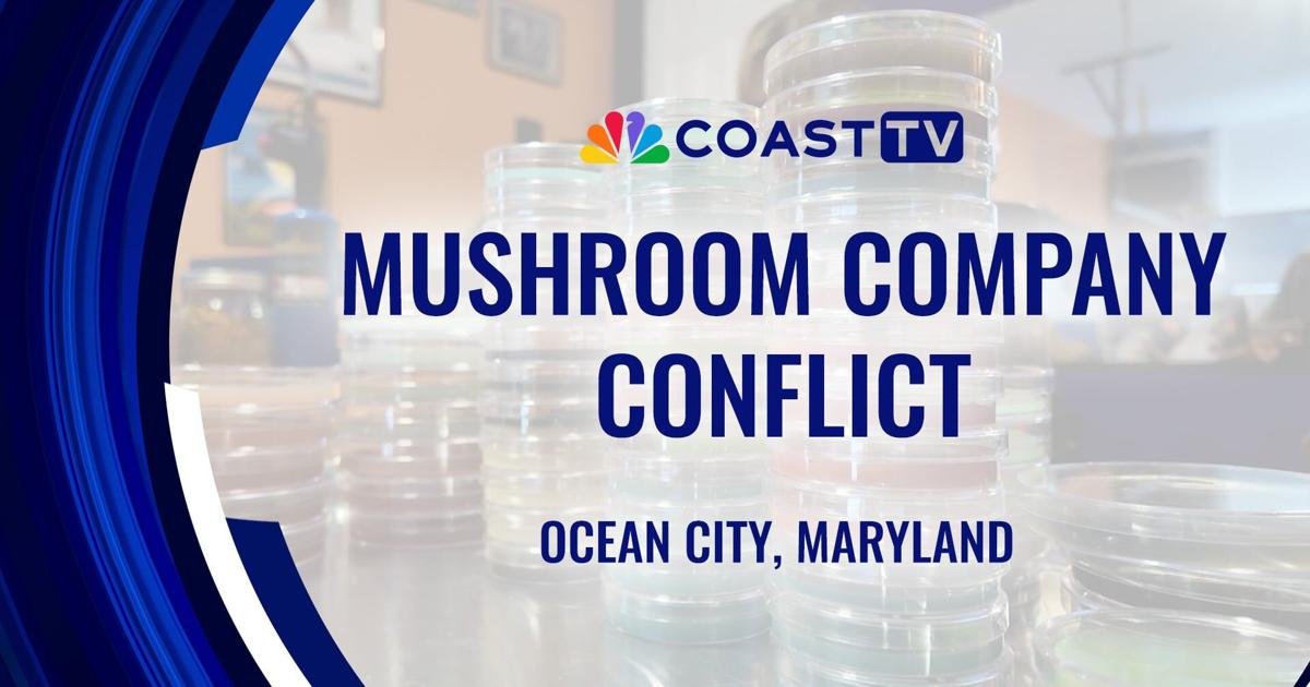 Fungi Fight Fizzles: Ocean City Mushroom Farm Abandons Zoning Appeal