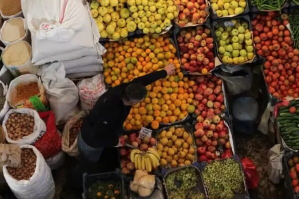 Global Food Costs Hit Two-Year Peak as Climate and Conflict Disrupt Supply Chains