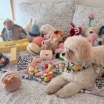 Global Progress, Personal Clutter: The Great Sustainability Disconnect