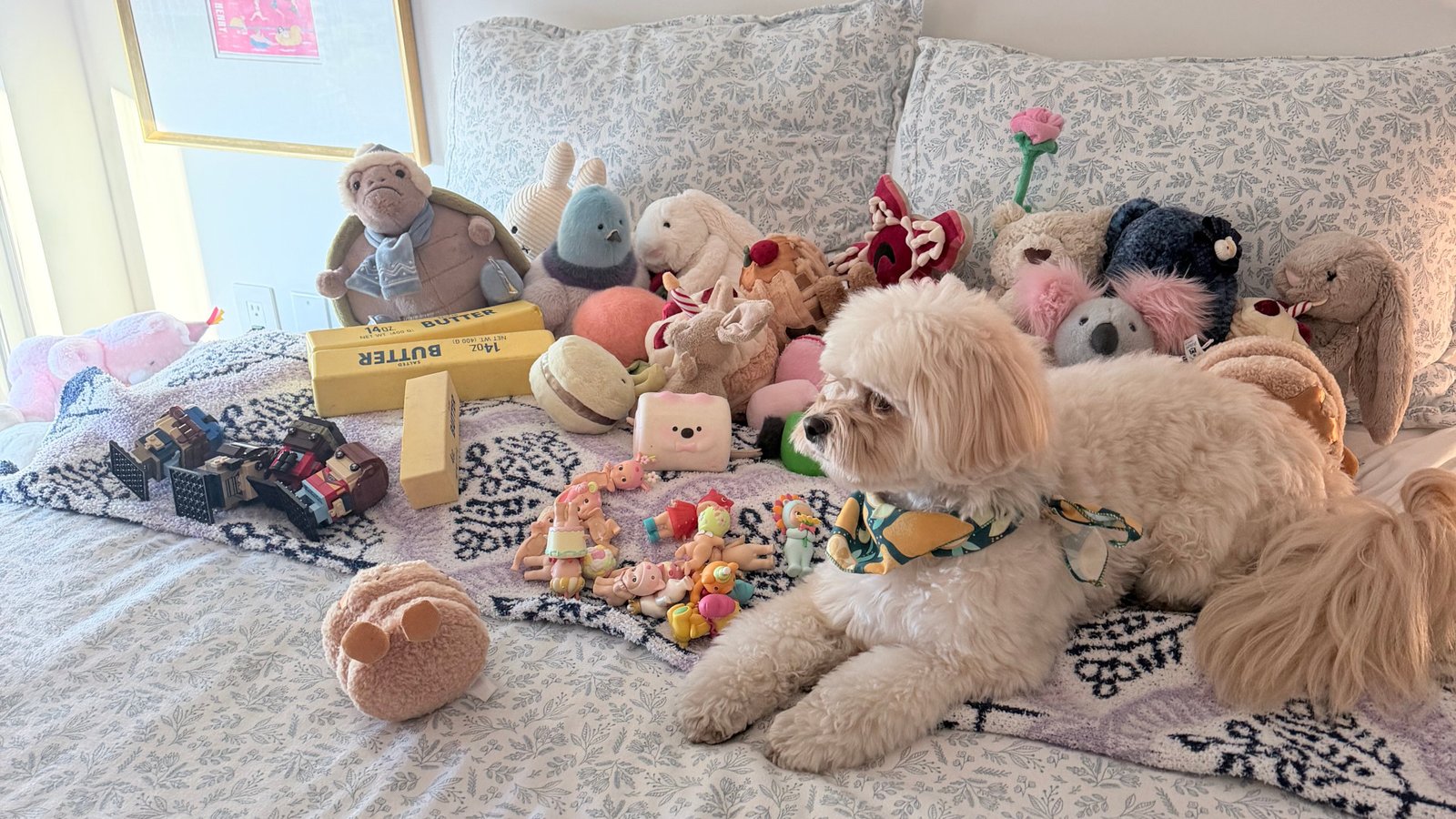 Global Progress, Personal Clutter: The Great Sustainability Disconnect