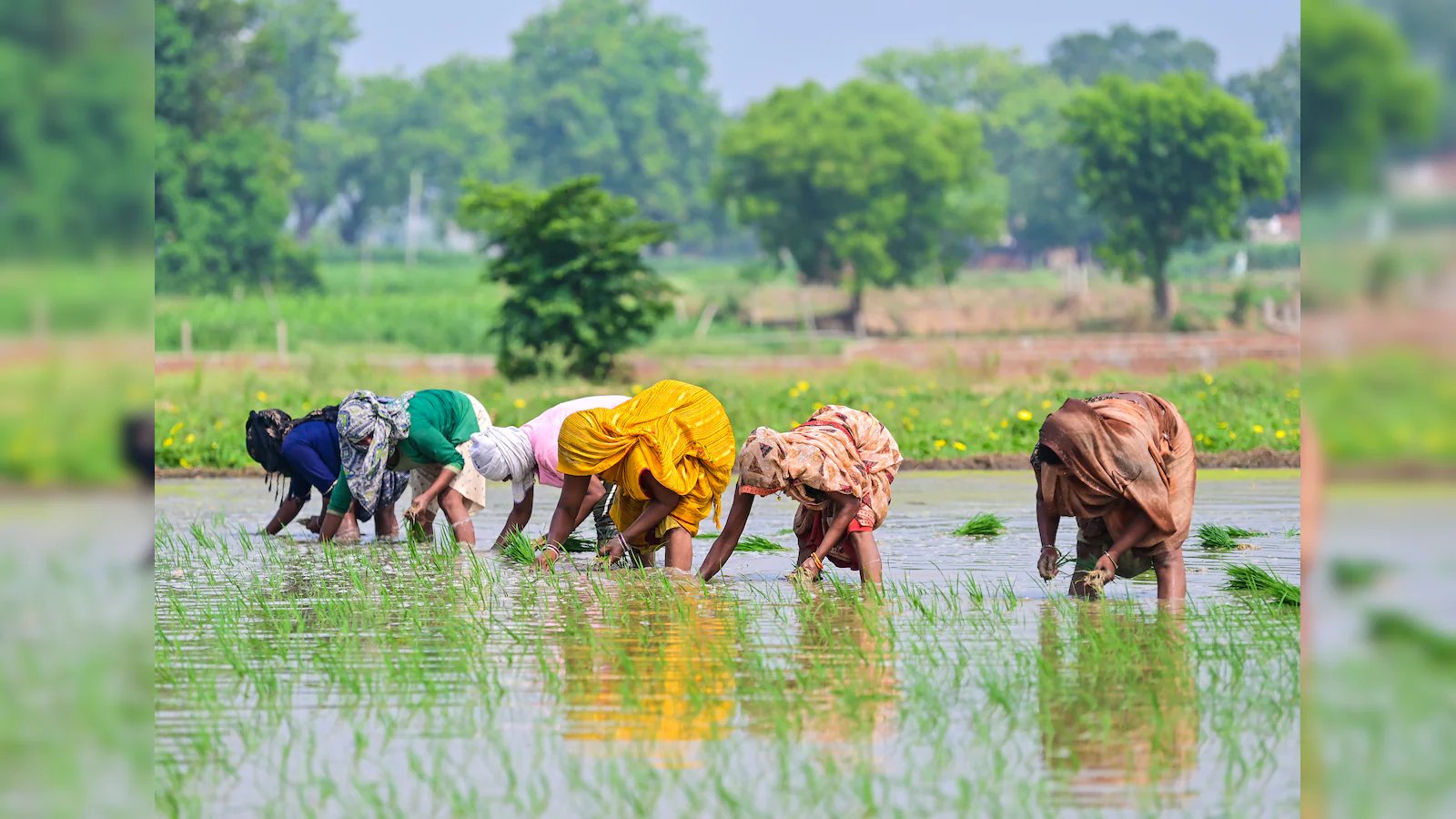 Global Trade Pivot: Indian Rice Finds New Foothold in Turkey and Jordan Amid Iranian Instability