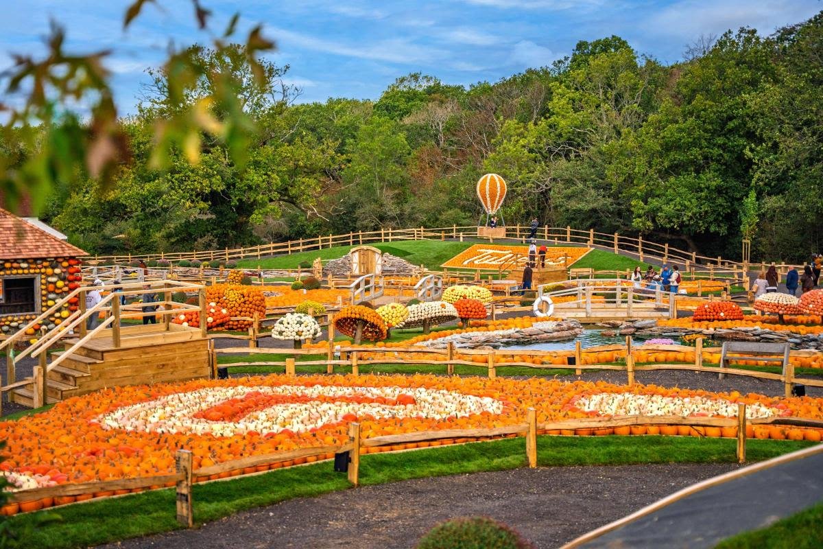 Gourd-geous Turnout: Europe’s Pumpkin Capital Shatters Attendance Records as Harvest Festival Begins