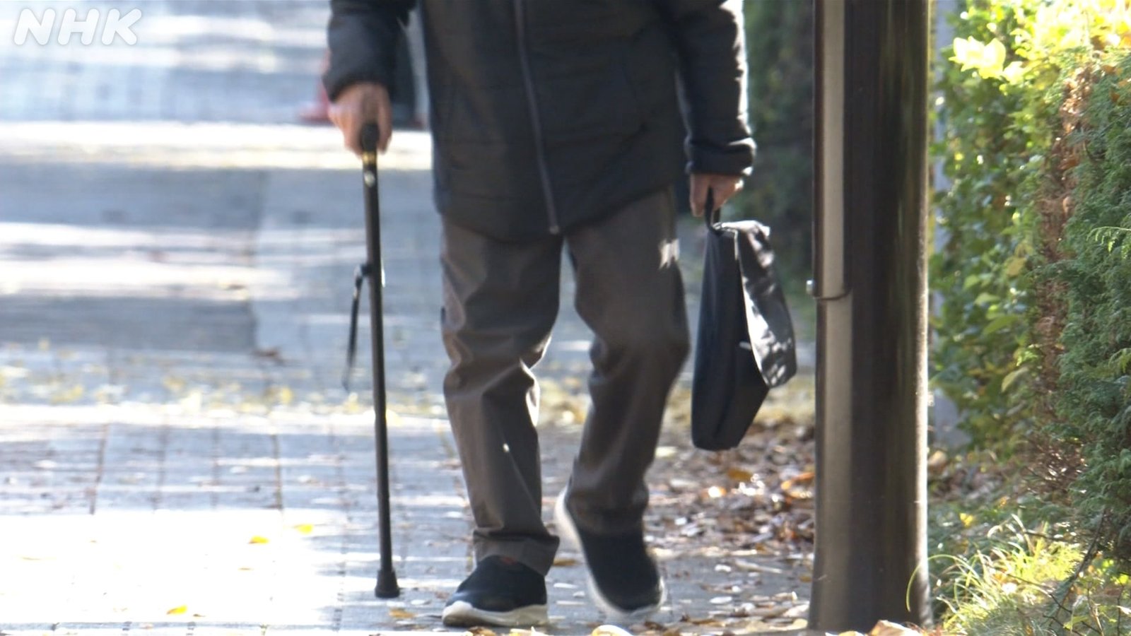Graying Giant: Japan’s Elderly Population Scales Unprecedented Peak
