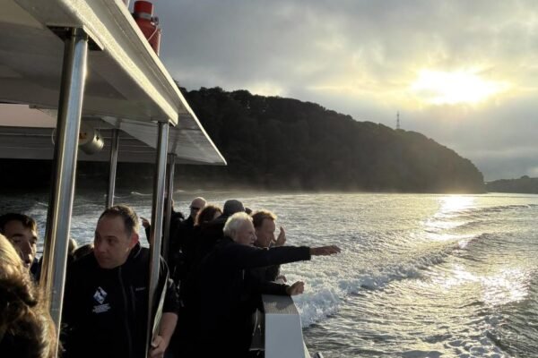 Green Guardians: Cleddau Heroes Honoured for Restoring Local Landscapes