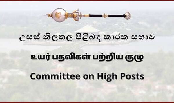 Green Light for Diplomats: High Posts Committee Confirms Key Global Envoys