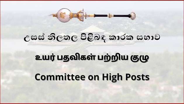 Green Light for Diplomats: High Posts Committee Confirms Key Global Envoys