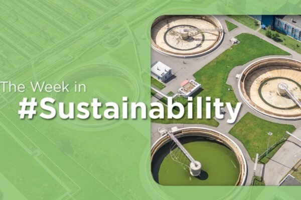 Green Paradox: Mexico Hosts Climate Forum Amidst OECD Sustainability Slide