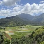 Gridlock in Paradise: Hawaiian Electric Mobilizes Rescue Effort as 30,000 Remain Dark