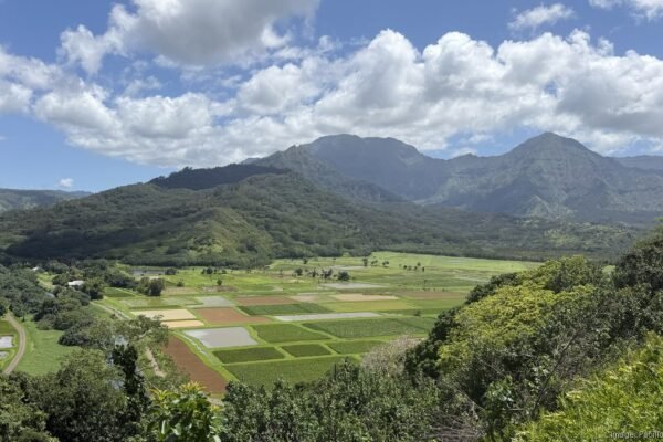 Gridlock in Paradise: Hawaiian Electric Mobilizes Rescue Effort as 30,000 Remain Dark