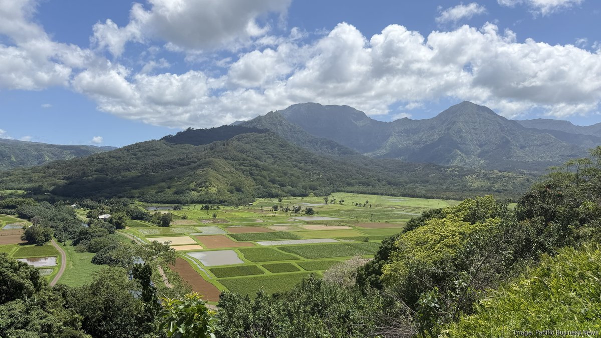 Gridlock in Paradise: Hawaiian Electric Mobilizes Rescue Effort as 30,000 Remain Dark