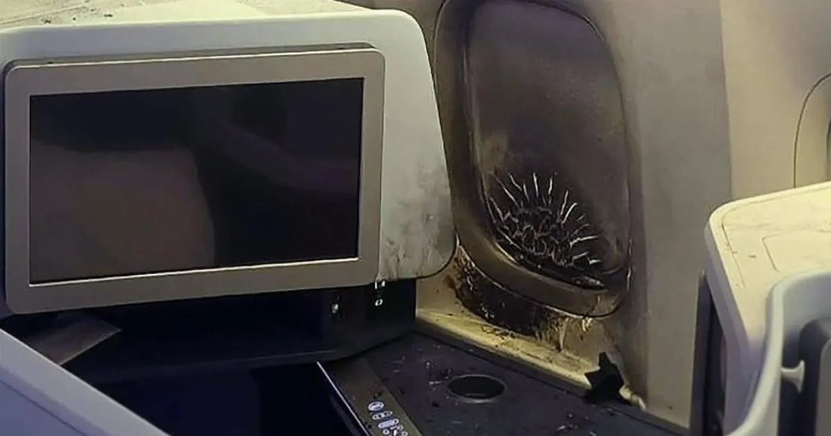 Grounded by Greed: Ex-Airline Chief Sparks Mid-Air Fire After Ignoring Power Bank Ban