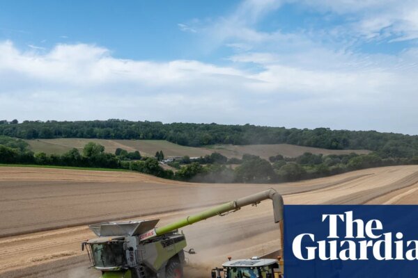 Harvesting Despair: England’s Green Farming Grants Dry Up in Record-Breaking Six-Hour Rush