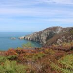 What has Plaid Cymru achieved for the environment in its first 100 days?