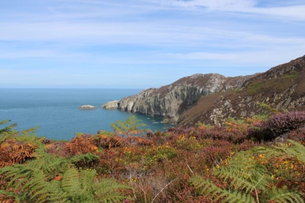 What has Plaid Cymru achieved for the environment in its first 100 days?